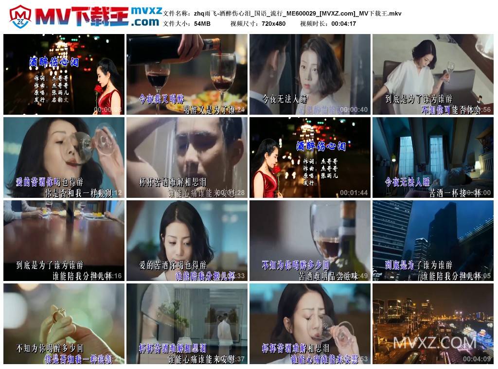 zhq雨飞-酒醉伤心泪_国语_流行_ME600029